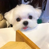 霜雪热读科技