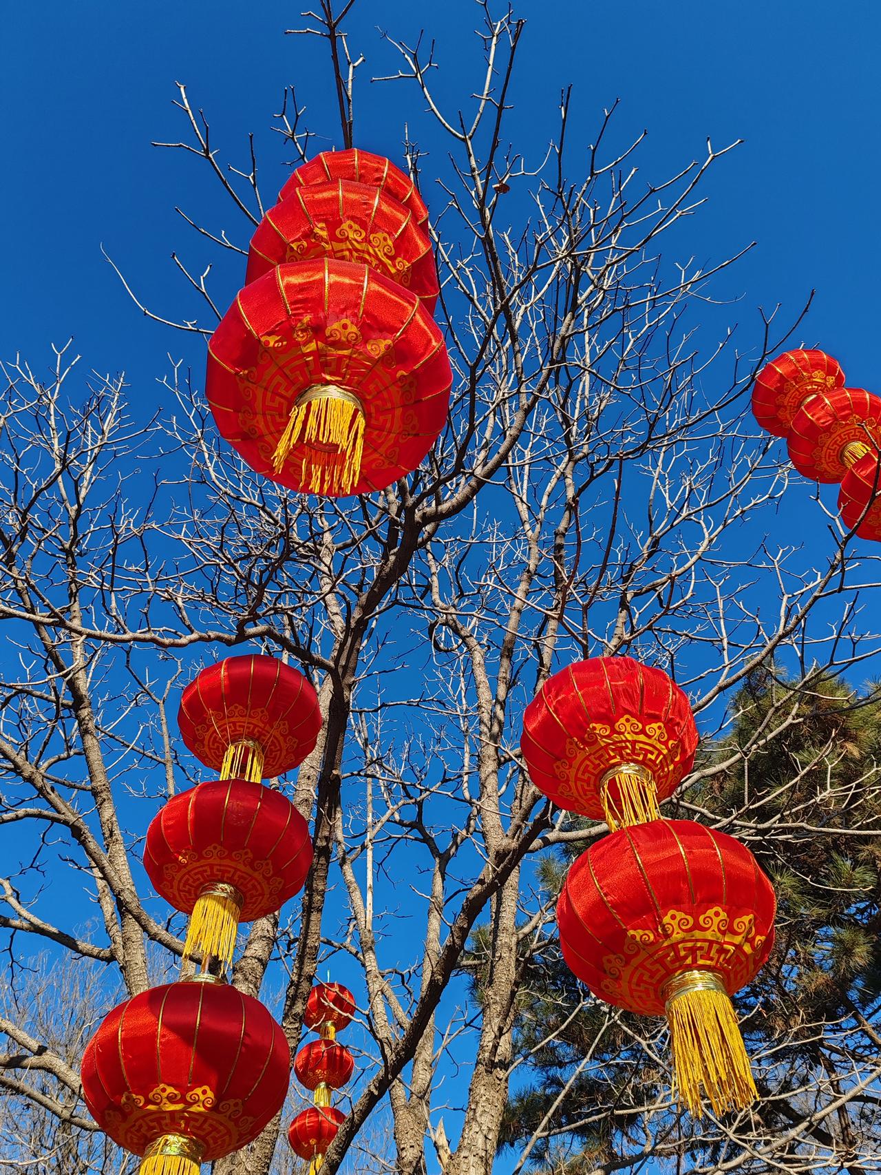 晒图笔记大赛大红灯笼髙髙挂，红红火火迎新春。