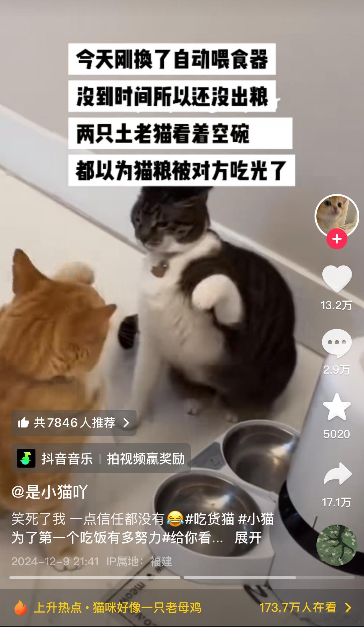 [哈哈] 