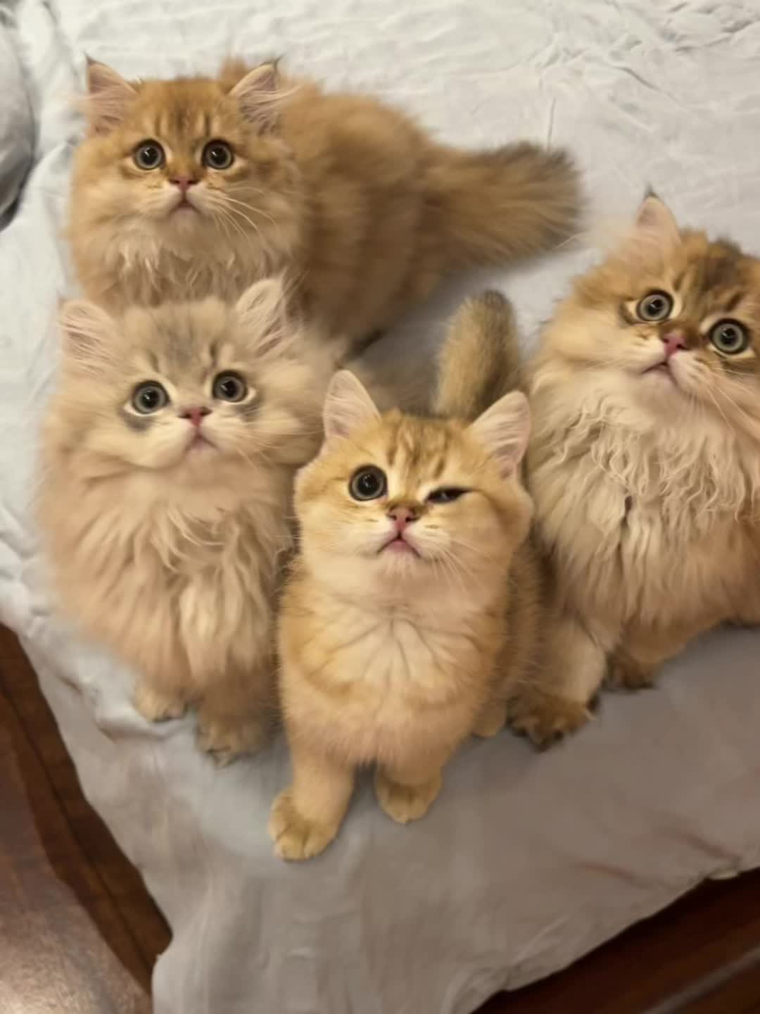 转眼间又长大了好多……孩子们啊，慢些长吧🥹