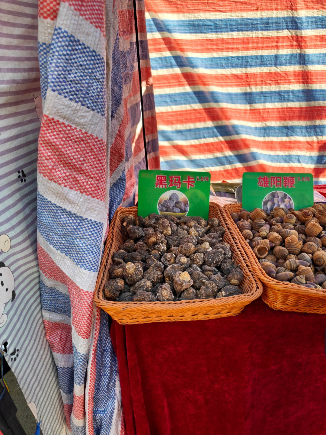 Make Male Great Again 