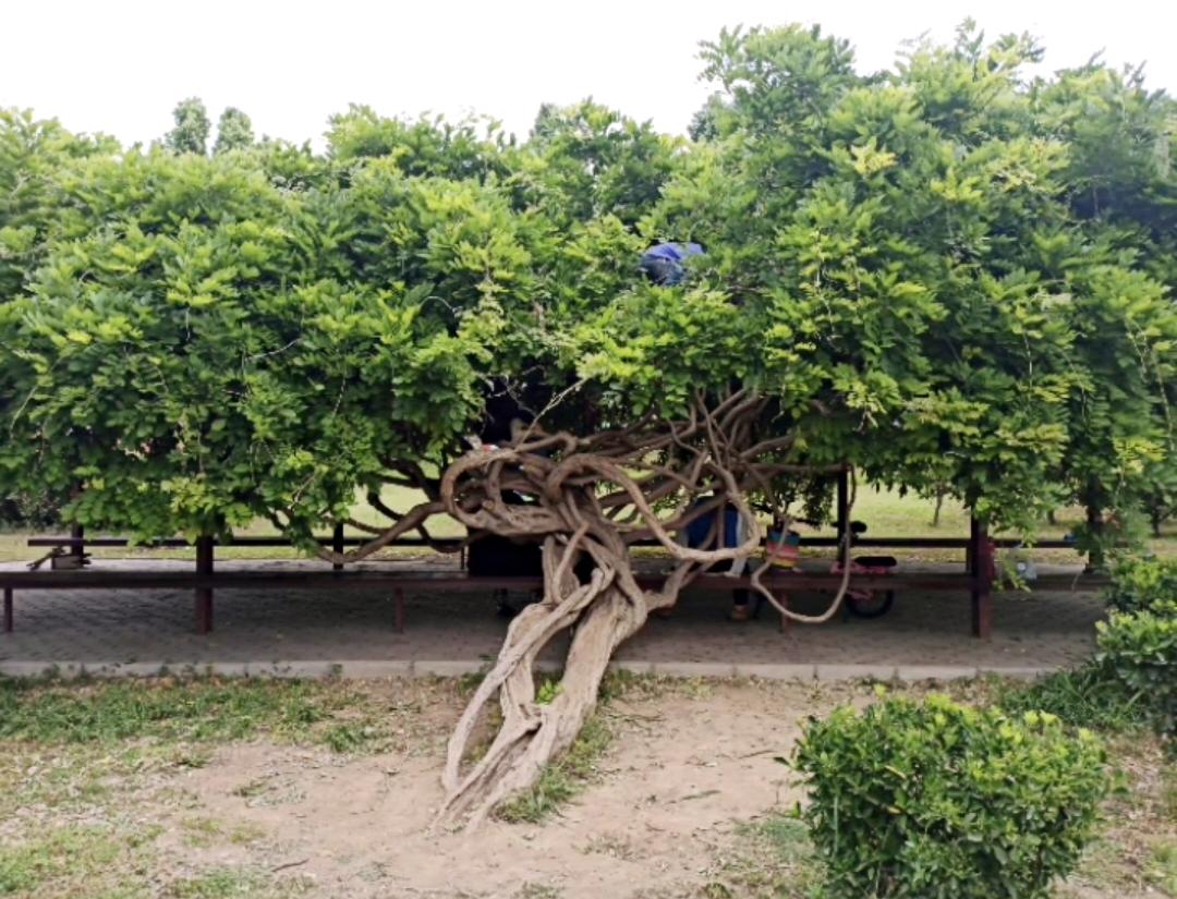 贫穷，烙在我妈身上的印记，触目惊心。

她极致节俭，到了我无法忍受的程度。

我