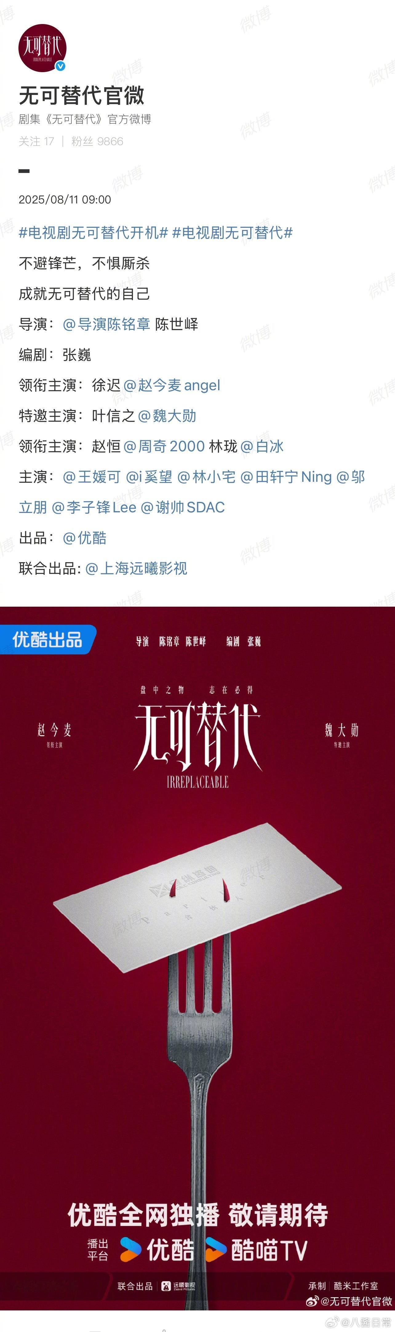 电视剧《无可替代》官宣领衔主演：赵今麦特邀主演：魏大勋 ​​​