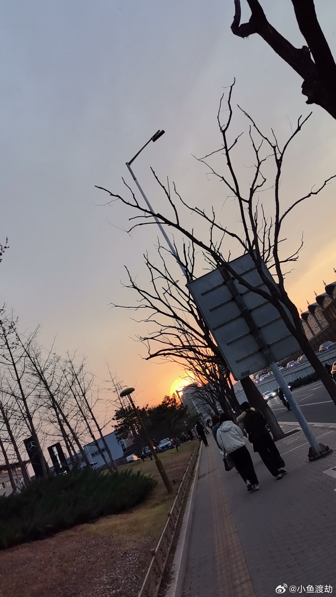 你最大的痛苦，不是穷，不是累，是你清醒地看着自己往下坠，却拉不住自己。你知道该早