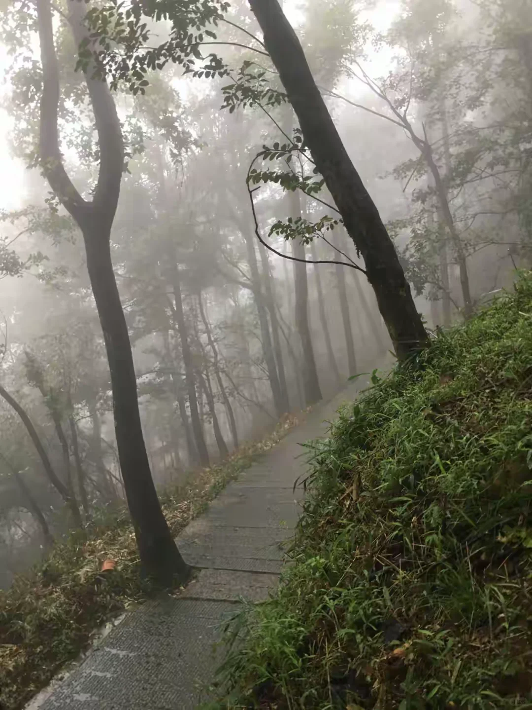 男人对妻子最残忍的报复方式是什么呢？其实，这并不是简单的拒绝亲热、分开...