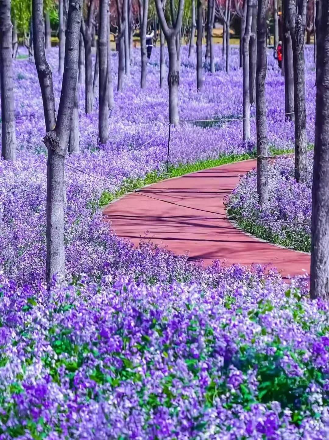 她们为什么，总走不出对父母“重男轻女”的怨怼与执念？
 
我生在北方的城市，从小