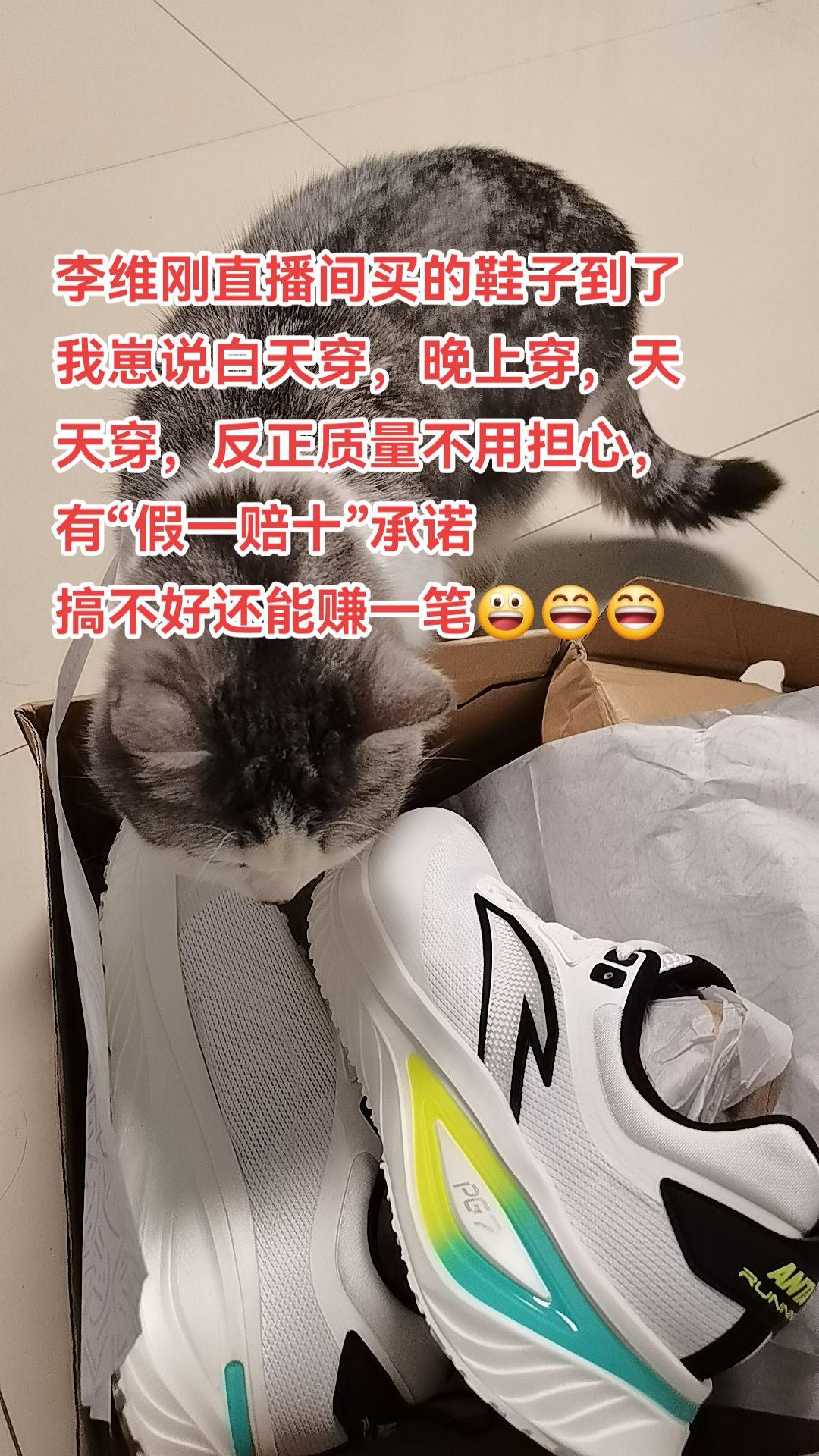 李维刚直播间买的鞋子到了。李维刚 鞋子 猫咪的迷惑行为