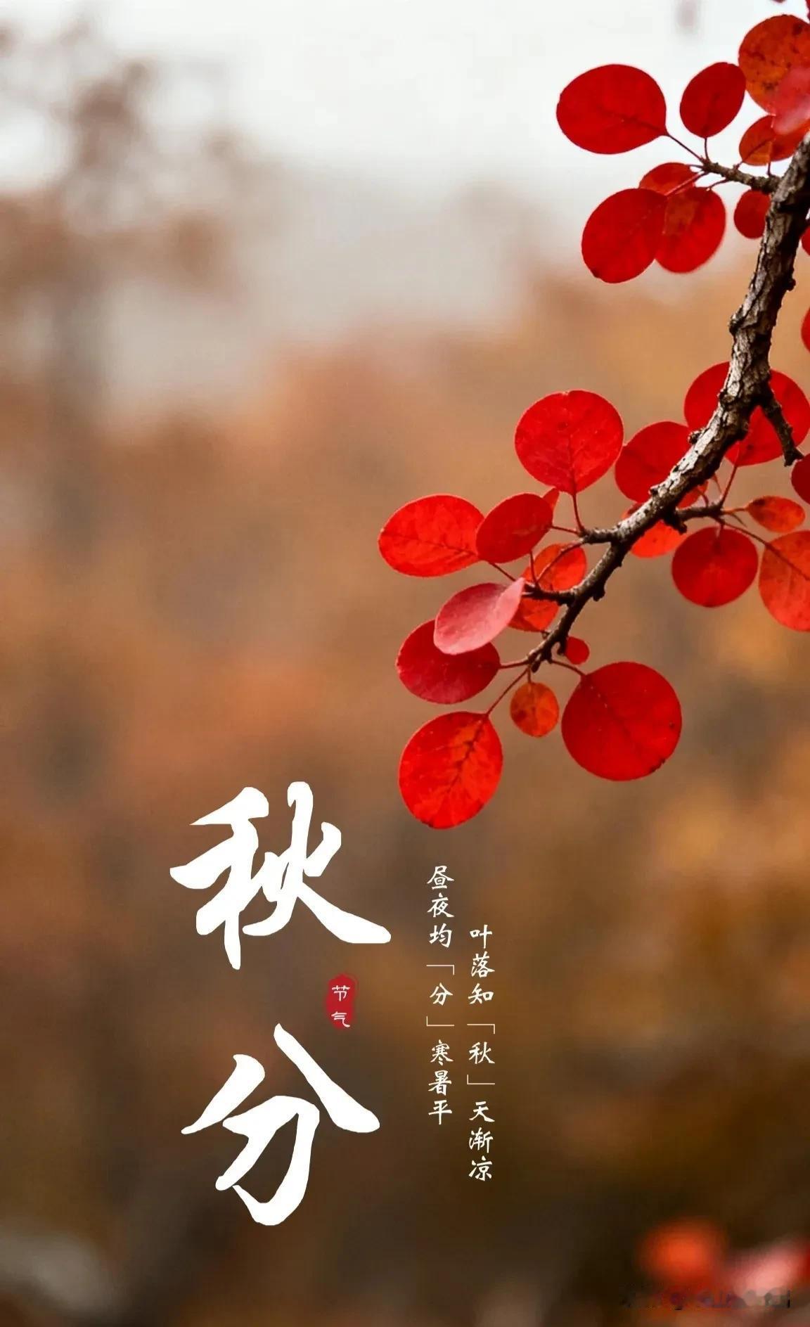 老话讲女怕秋分，不是玄学，是换季给女人的提醒

马上就是秋分，白天黑夜一样长。从