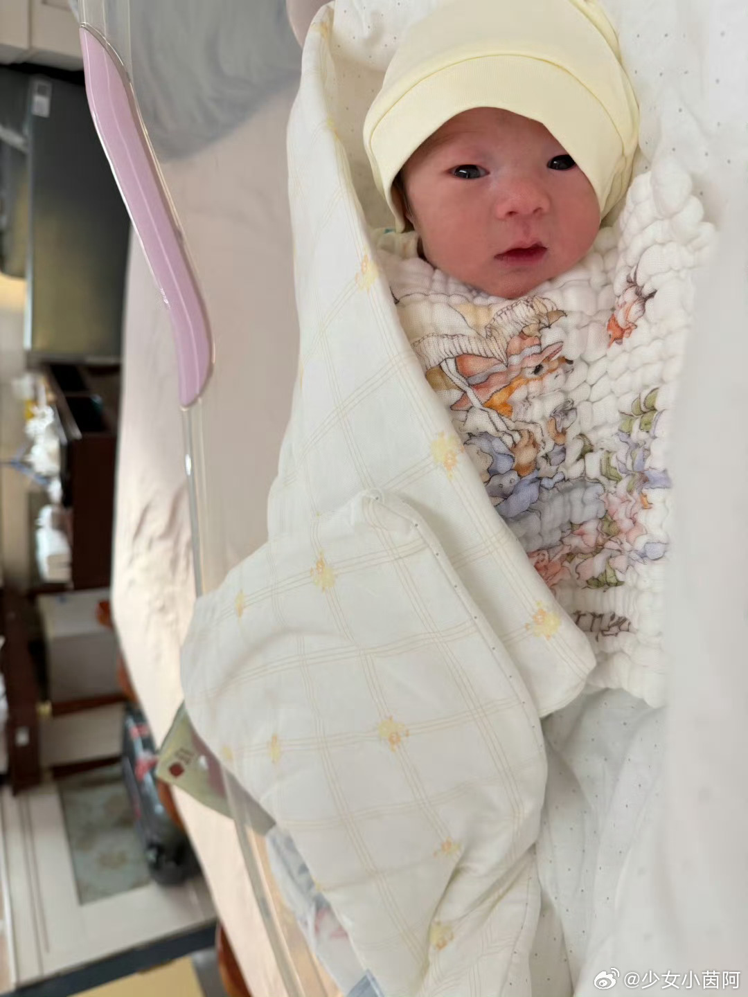 马立奥有妹妹了太棒了！！！恭喜君妍一家奥子升级当哥哥啦，迫不及待想看奥子带妹妹了