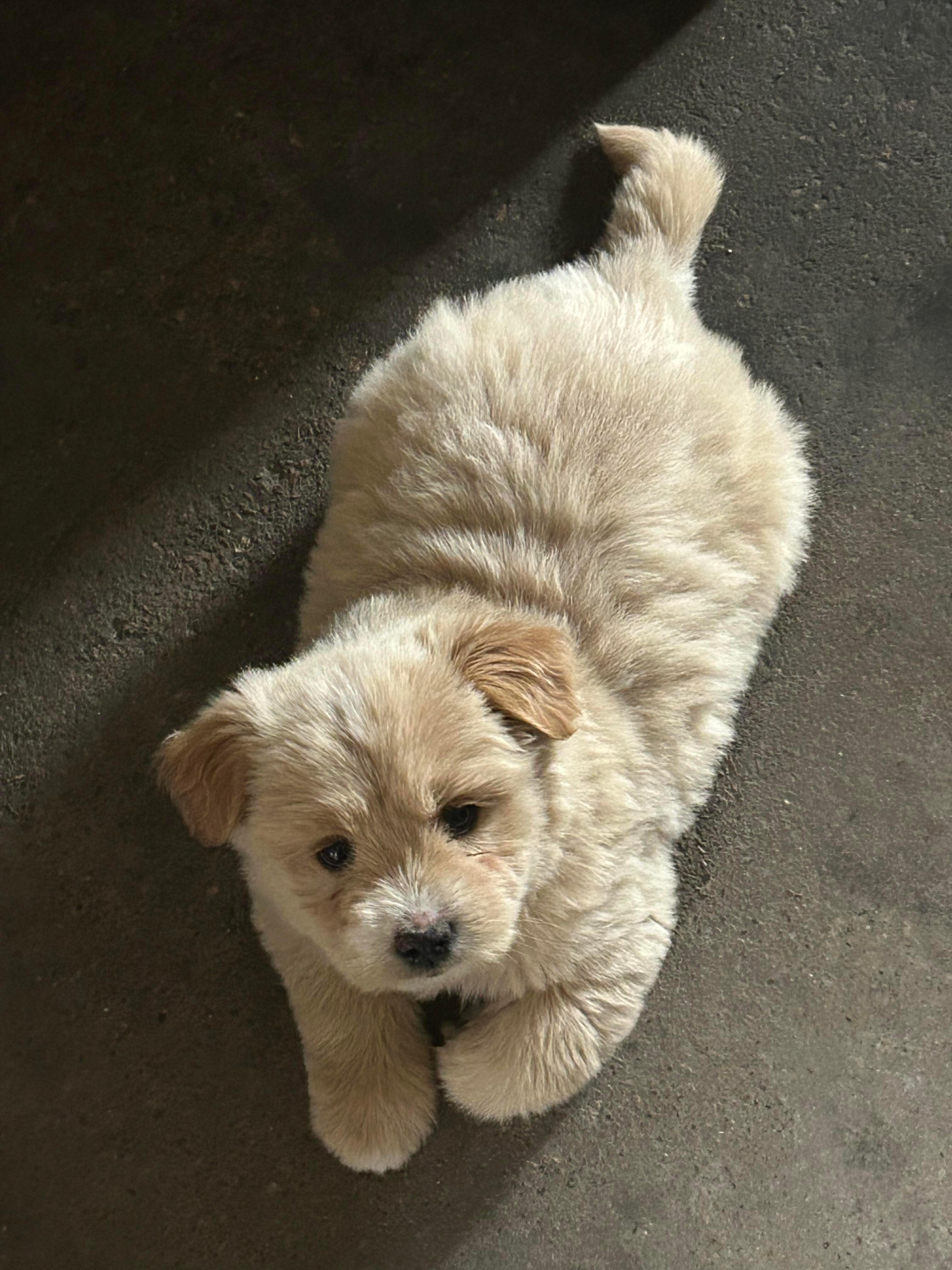 早上好 