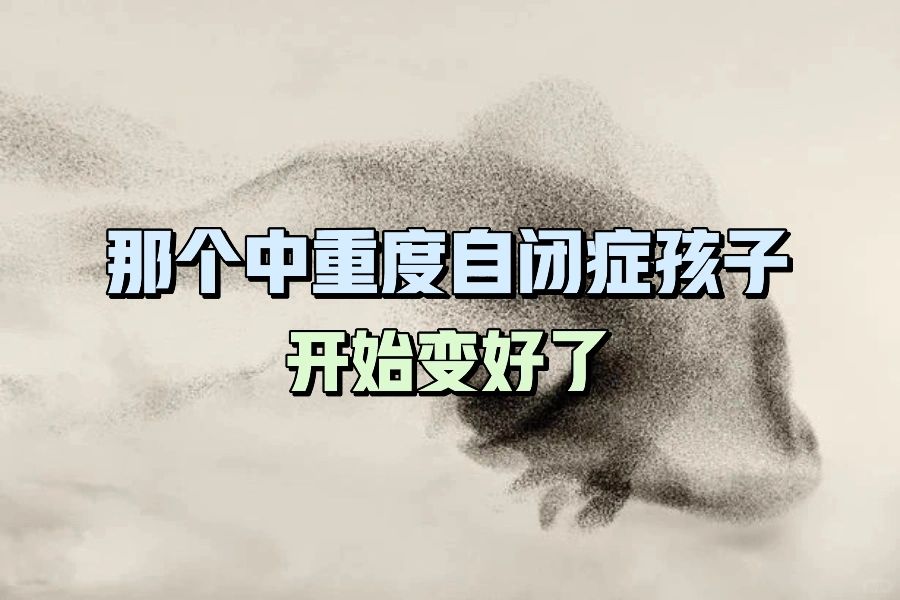 那个中重度自闭症孩子开始变好了