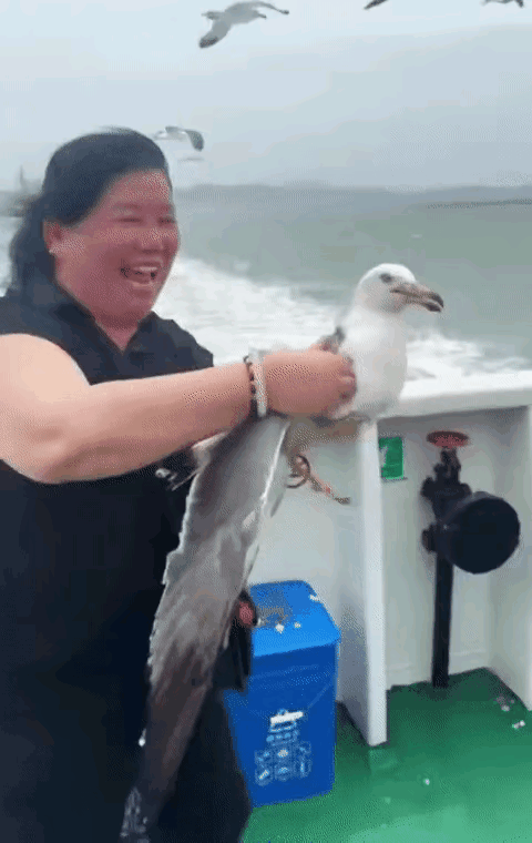 这位黑衣大妈在甲板上，信手一抓，居然抓住了一只海鸥，她高兴得冽嘴大笑。有旅客给她
