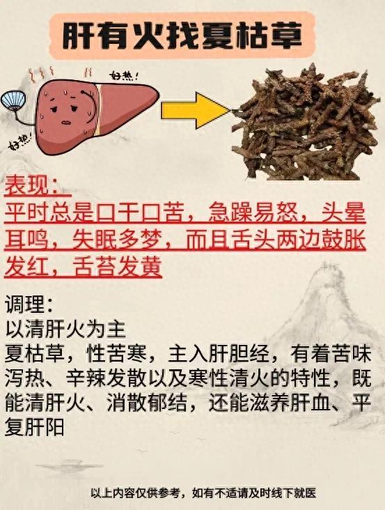 中医干货！脏腑上火的“灭火”药材！