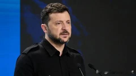 泽连斯基对欧盟领导人和特朗普表示：我们不能一起，让俄罗斯再次欺骗世界


乌克兰