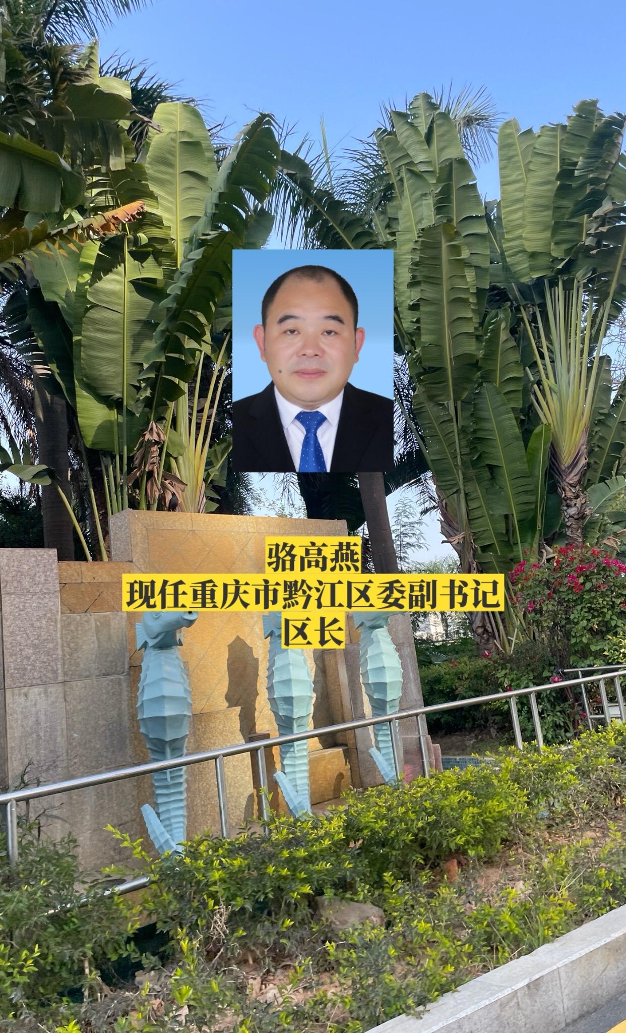 重庆黔江区政府领导。