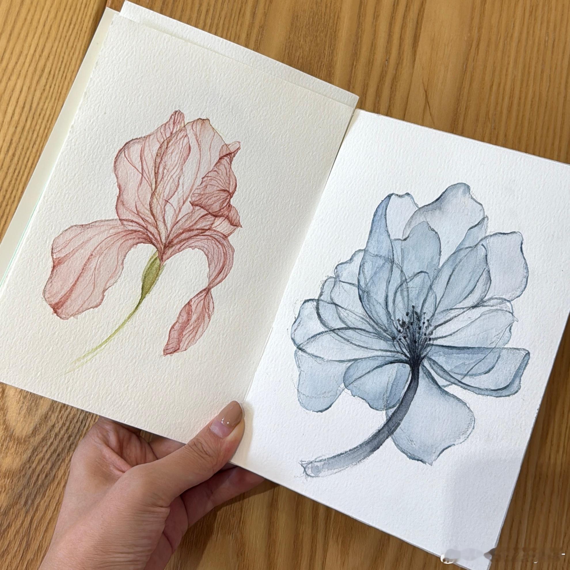 最近的小小临摹画画很容易忘掉时间内心平静🍂以及很满意的妆容和耳夹（至今不敢打耳