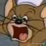 十二月了！！！为什么还有蚊子吵鼠了啊啊啊啊啊 