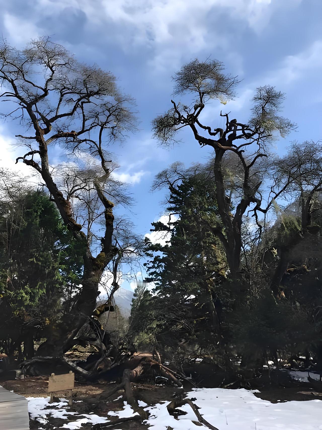 我在武当山妄语后，不到半年，因为双向情感障碍住进了医院。
 
以我现在的记忆，当