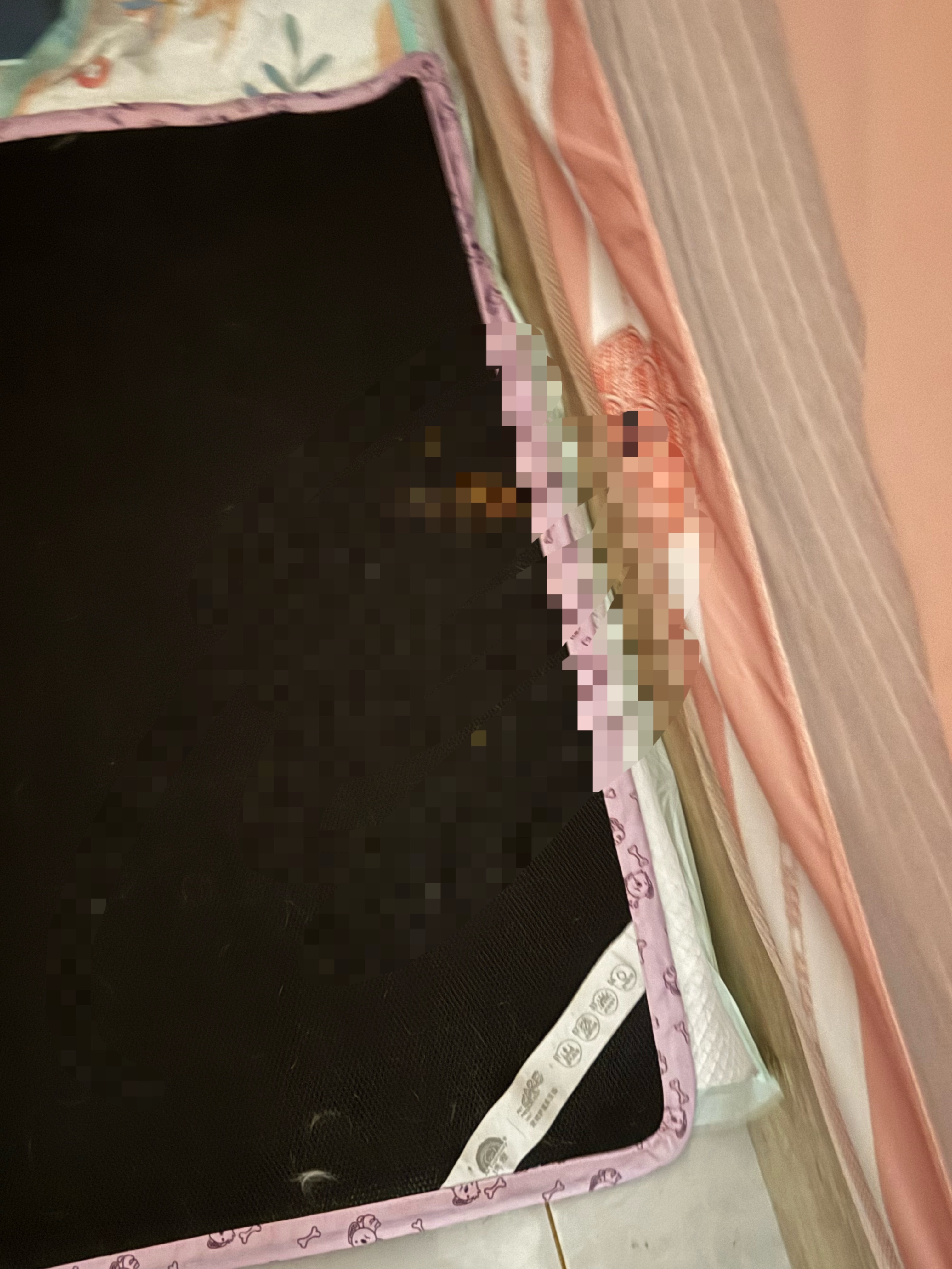 累瘫了我了……下午给麻辣橘装防晒窗帘，差点中暑，爬梯子摇摇晃晃的好几次头晕眼花。