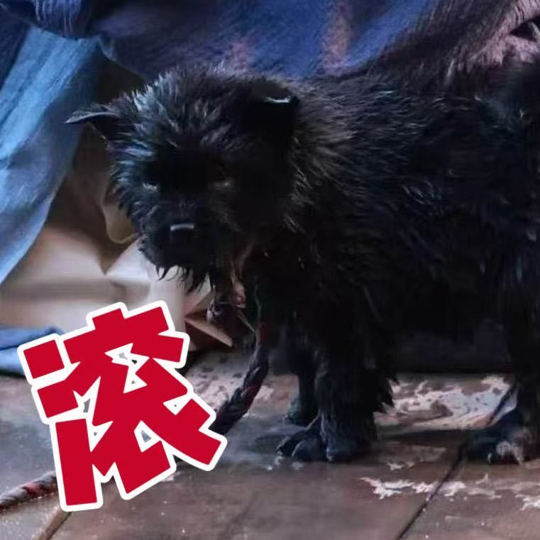 一只太爱爸比的失足小狗有什么错檀健次谢却山