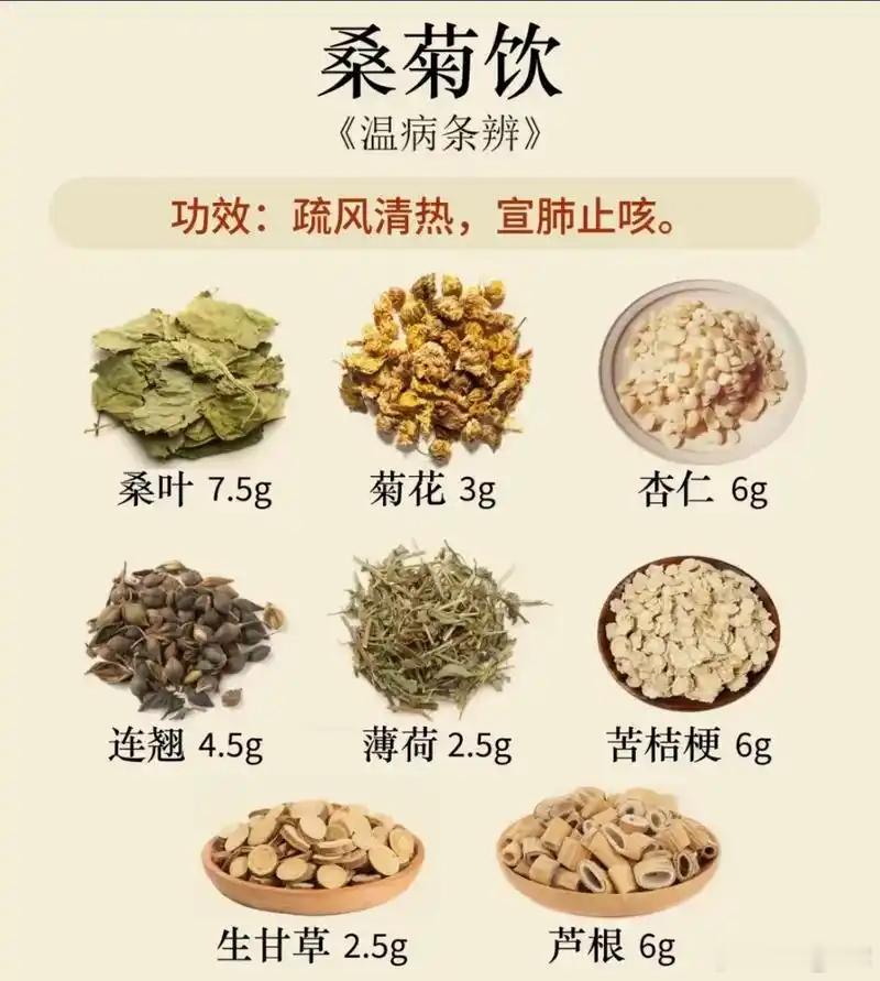 桑菊加荆治寒热杂感风热痰黄涕尚寒，单投桑菊未全安。辛温一味荆芥入，轻散双邪上下宽