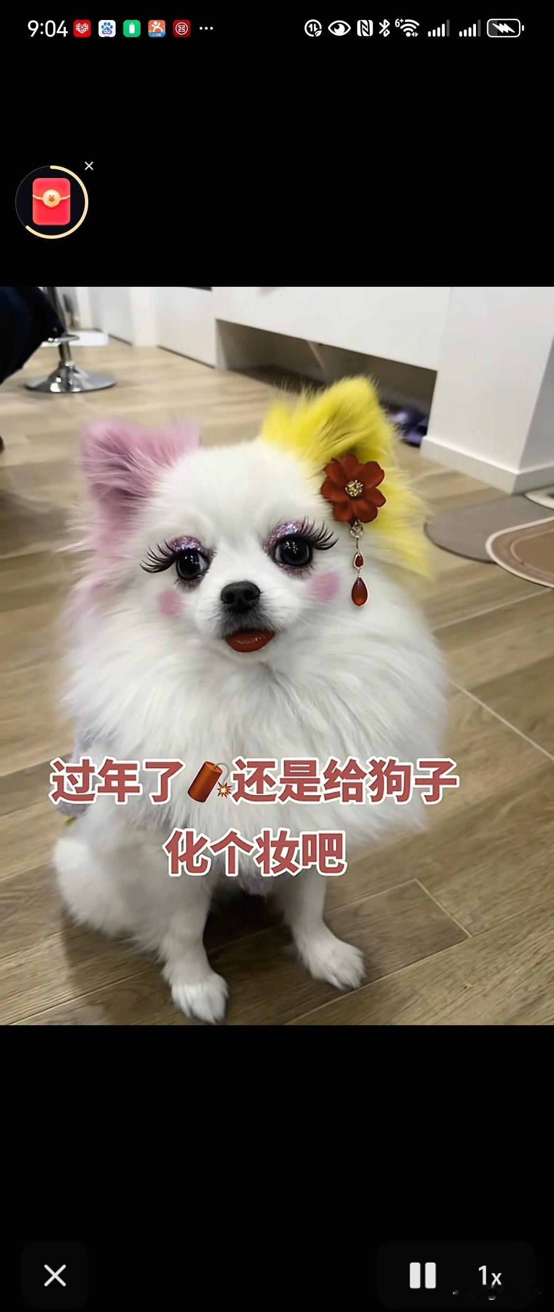 当狗狗化妆后， 是不是惊艳到你了？我们女人也一样，稍微花点时间，就会让自己美得惊