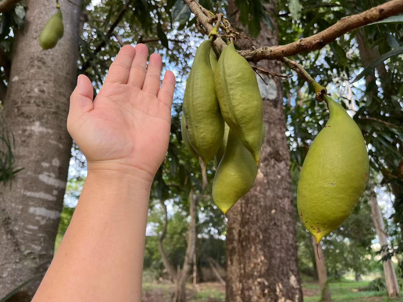 真正拉开朋友距离的，财富只是表象，认知和习惯才是关键。
同样起点和家境的朋友，有