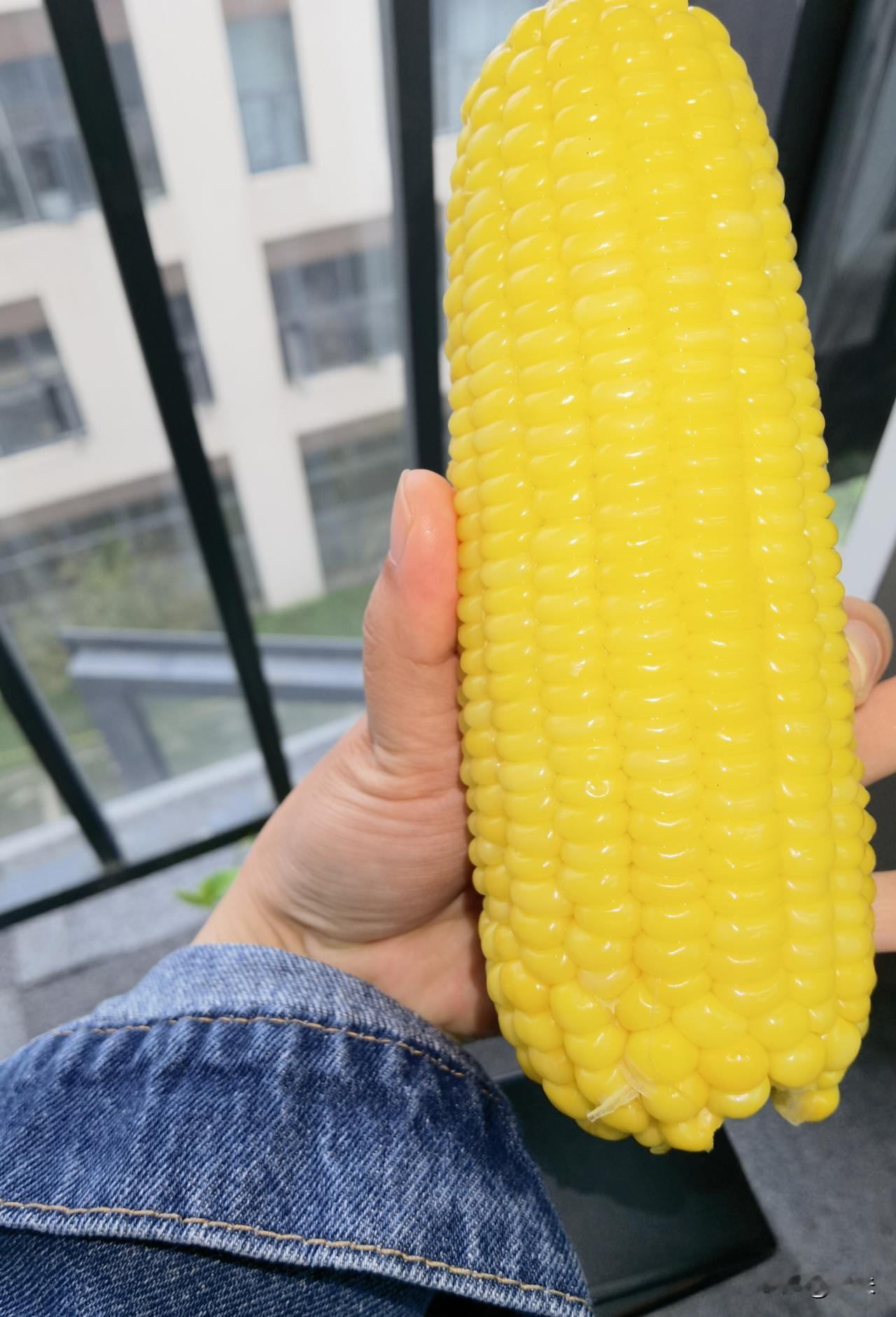 今日份早餐：
一根超大颗的甜玉米，
两颗土鸡蛋，白水煮的。
执行减脂餐已经一周了