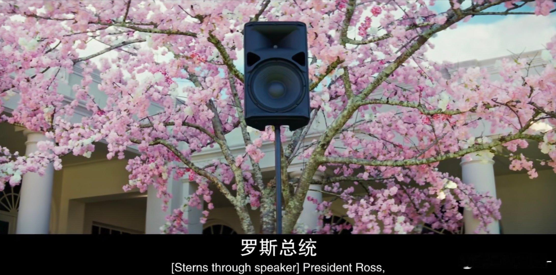 虽然美队4剧情很.....但是我还蛮喜欢最终大决战在樱花树下的感觉() 