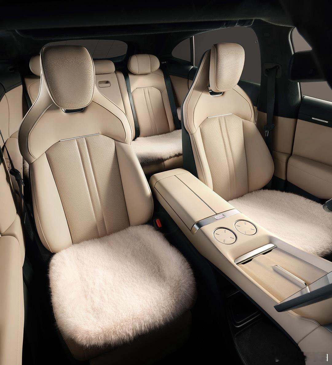小米汽车商城新品售价399元的仿羊毛坐垫套装作为车主不是很理解小米全系车型都有座
