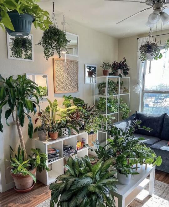 不许动！这是我家最贵的装饰…