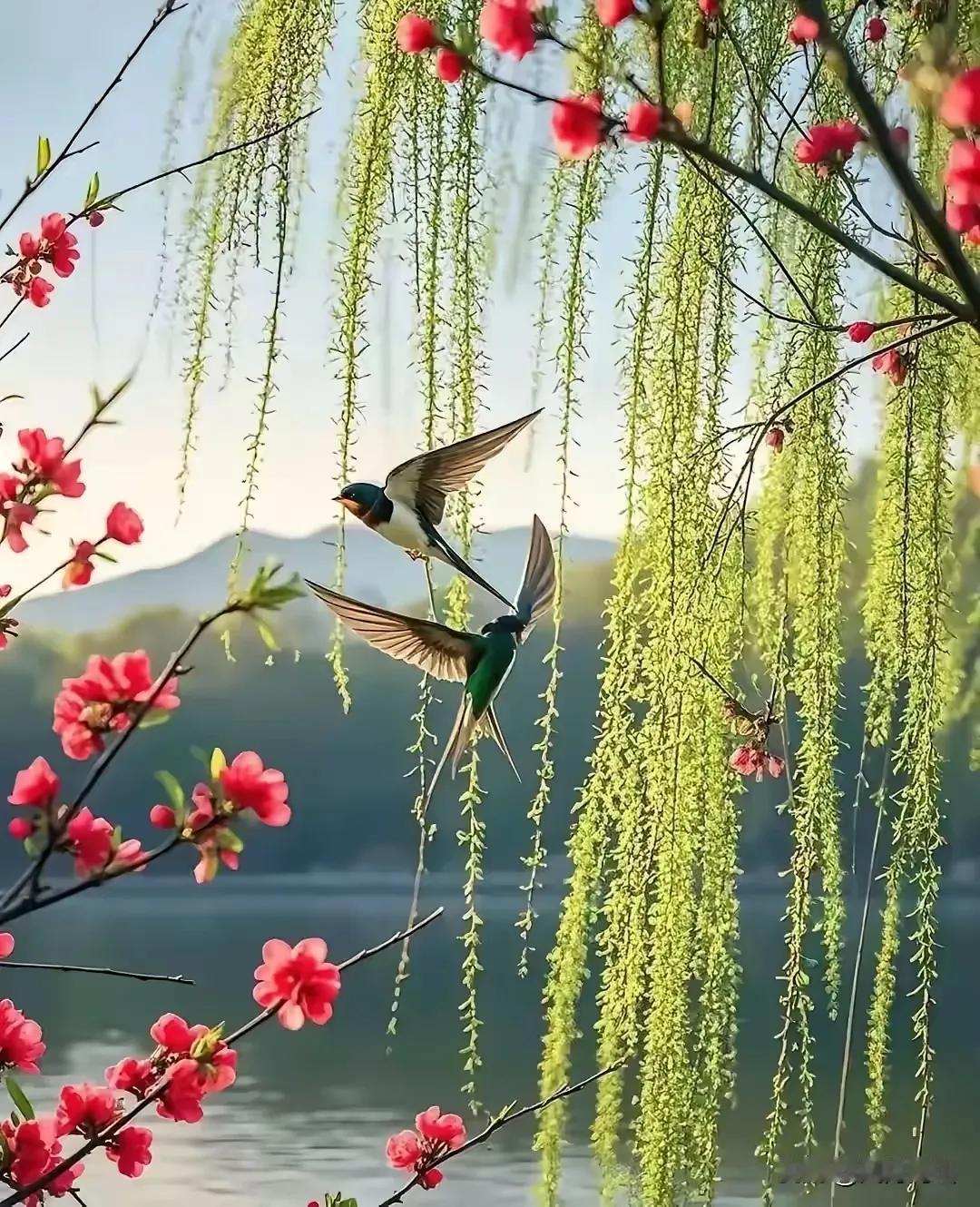 一年四季祖国美，
阳春三月为首推！
桃花山花争艳开，
垂柳风舞嫩叶翠！！
[给力