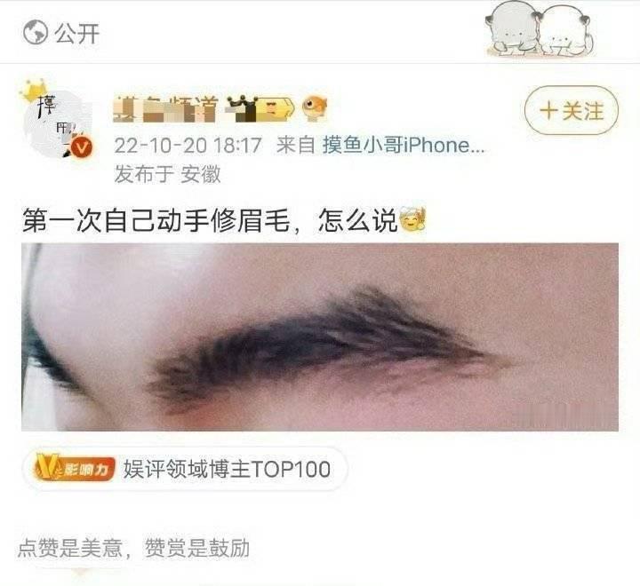 修个毛毛 