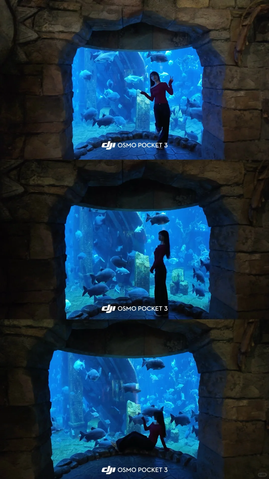 银基动物王国水族馆🐟🦈🐋