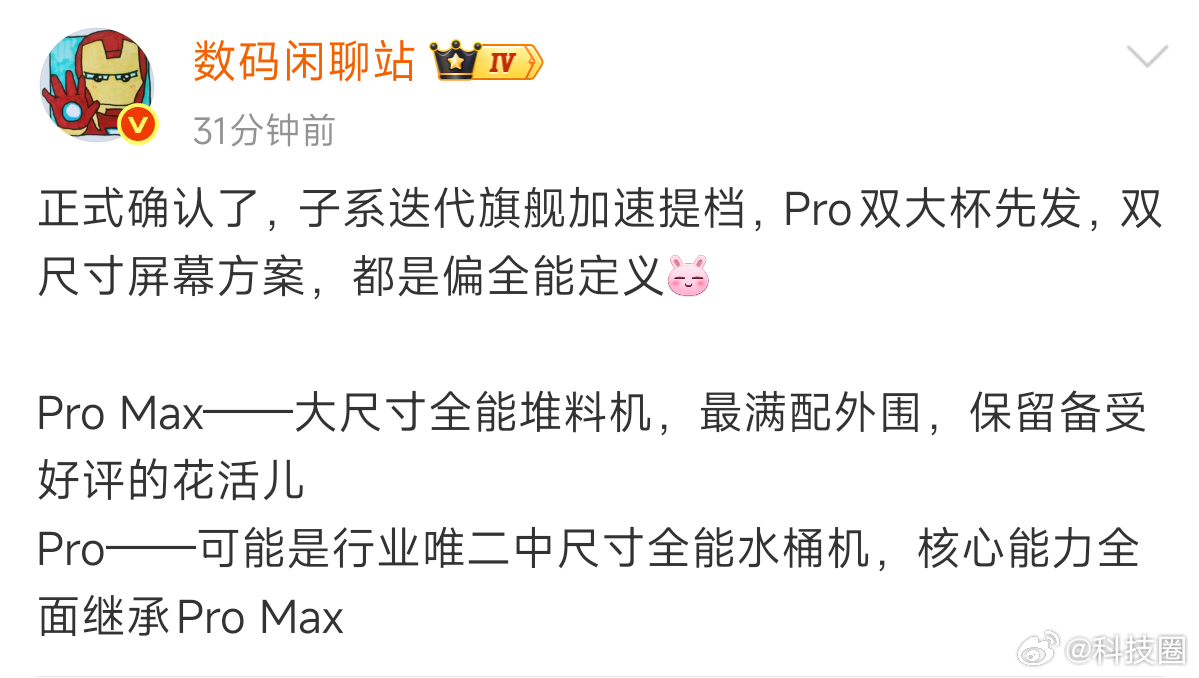 真是好消息啊，Pro Max保留下来了，我一直说被低估了，今年真香机之一。 