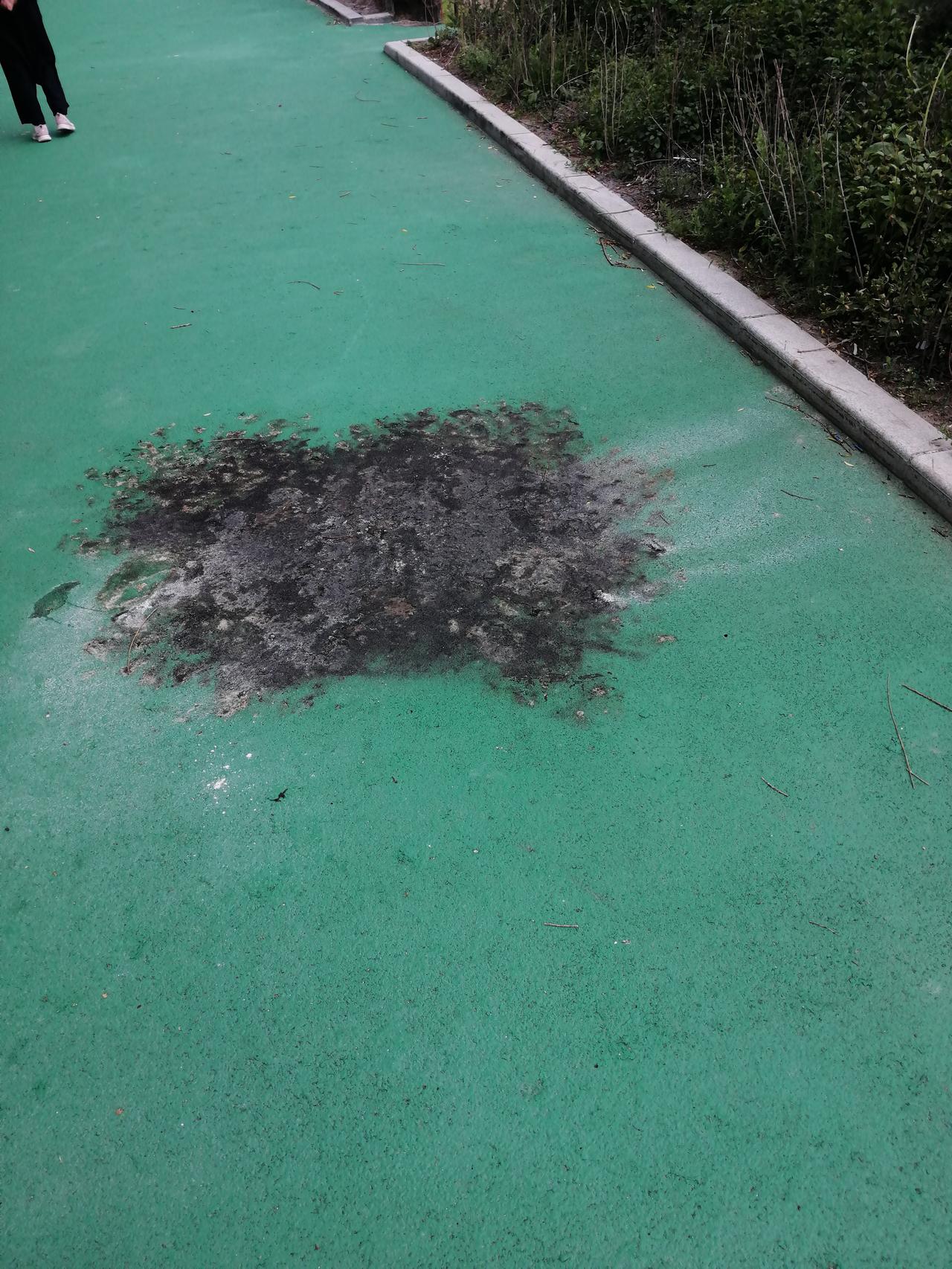 这是白山市江边发生的事，好端端的景观道，被人烧了纸，可恨不？谁之责？？？