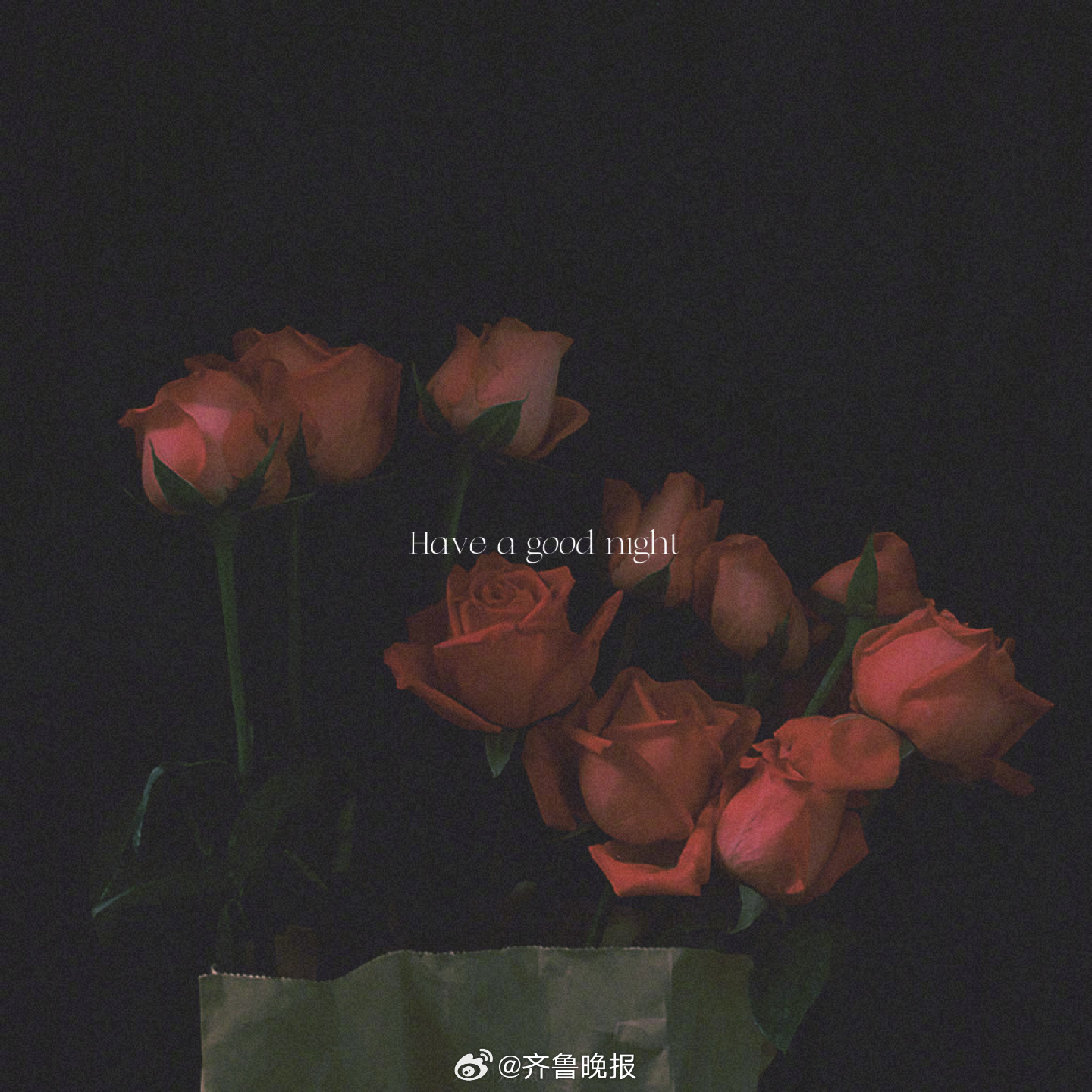 允许一切如其所是#晚安#