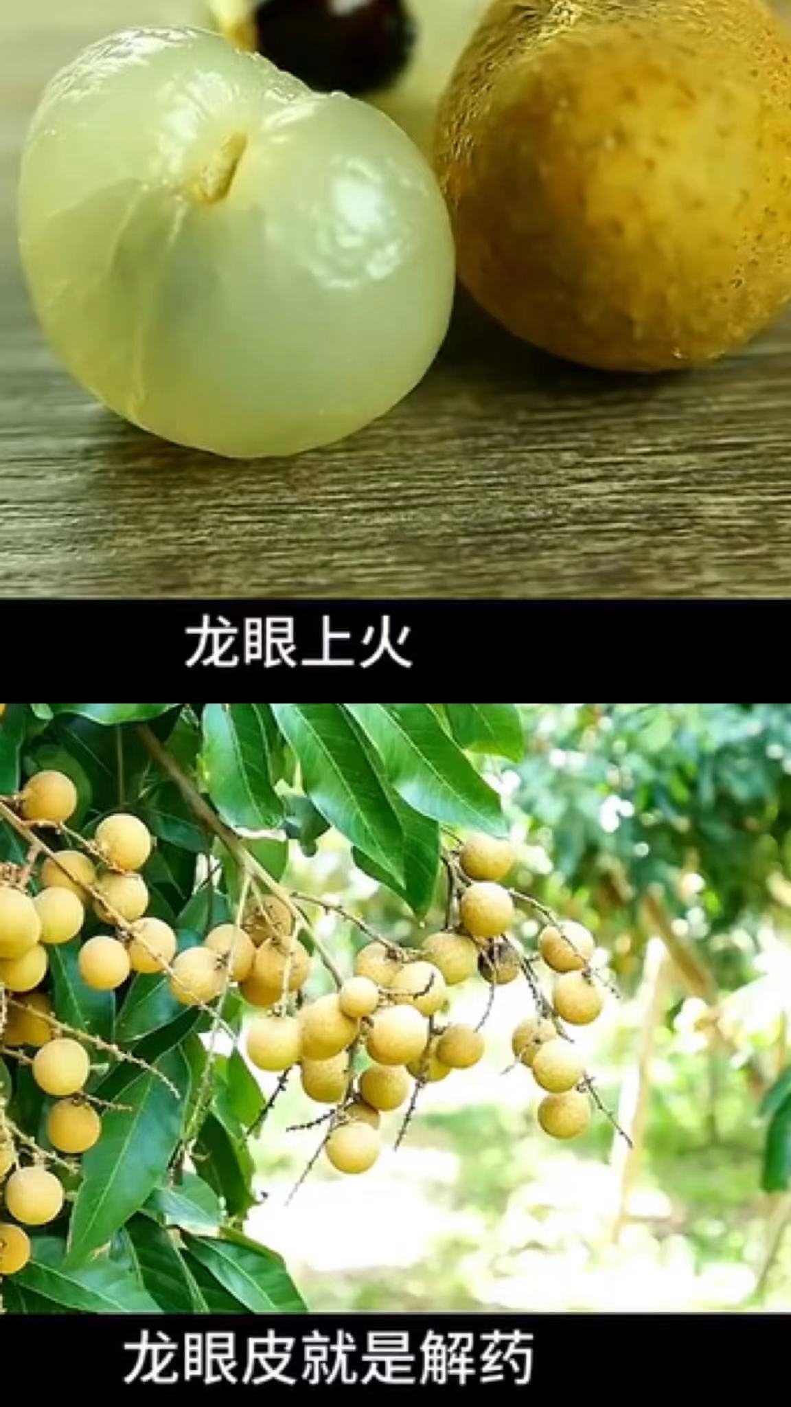 凡有毒之物，五步内必有解药 ​​​