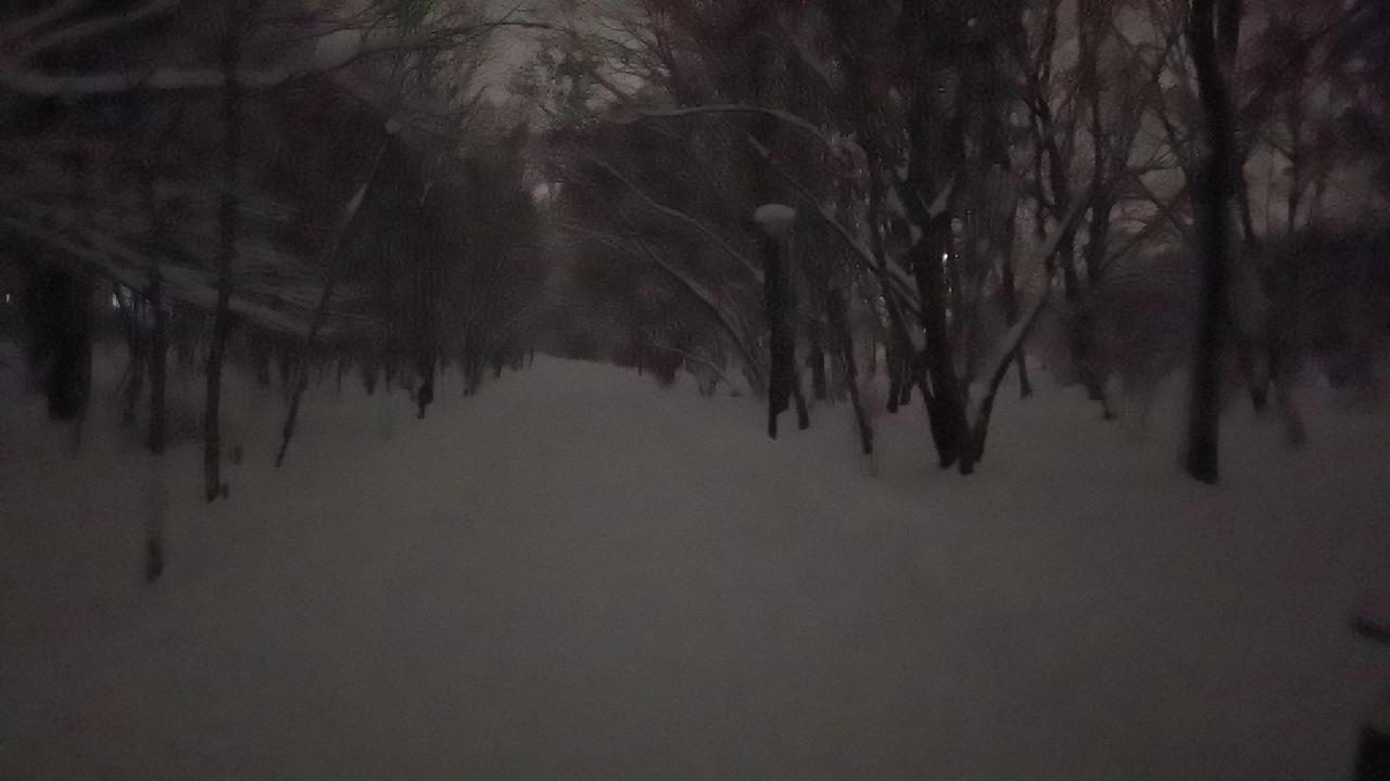 好大的雪，黑夜走在大雪覆盖的树林里，只有亲身经历过，才能体会到那种寒冷和阴森感，