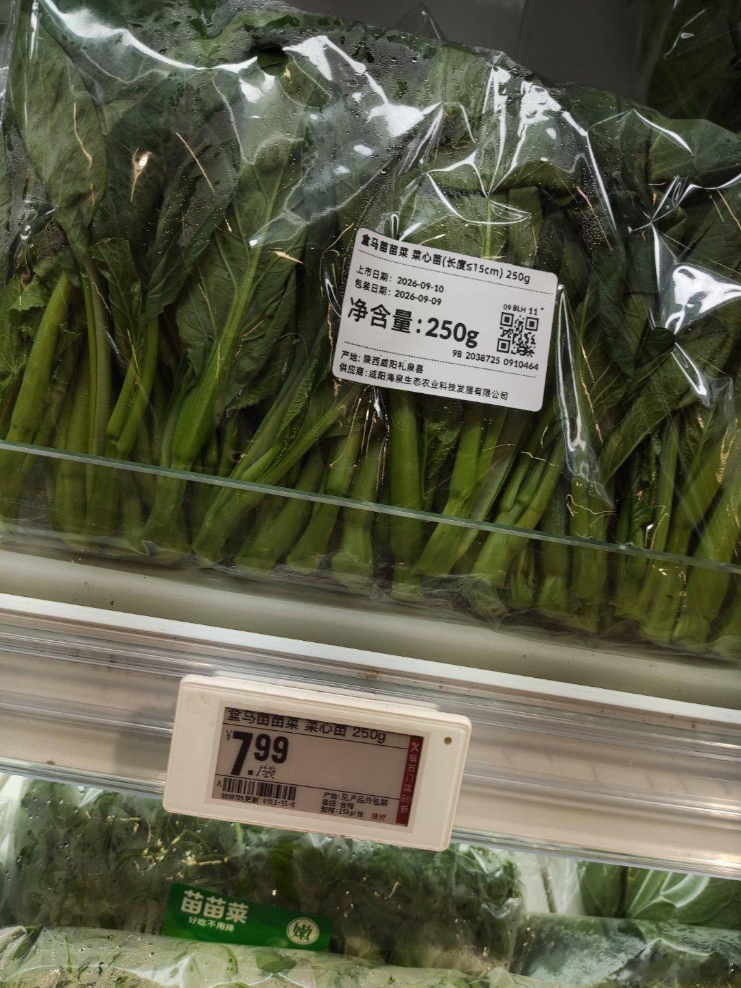 菜心苗，贵啊！ ​​​