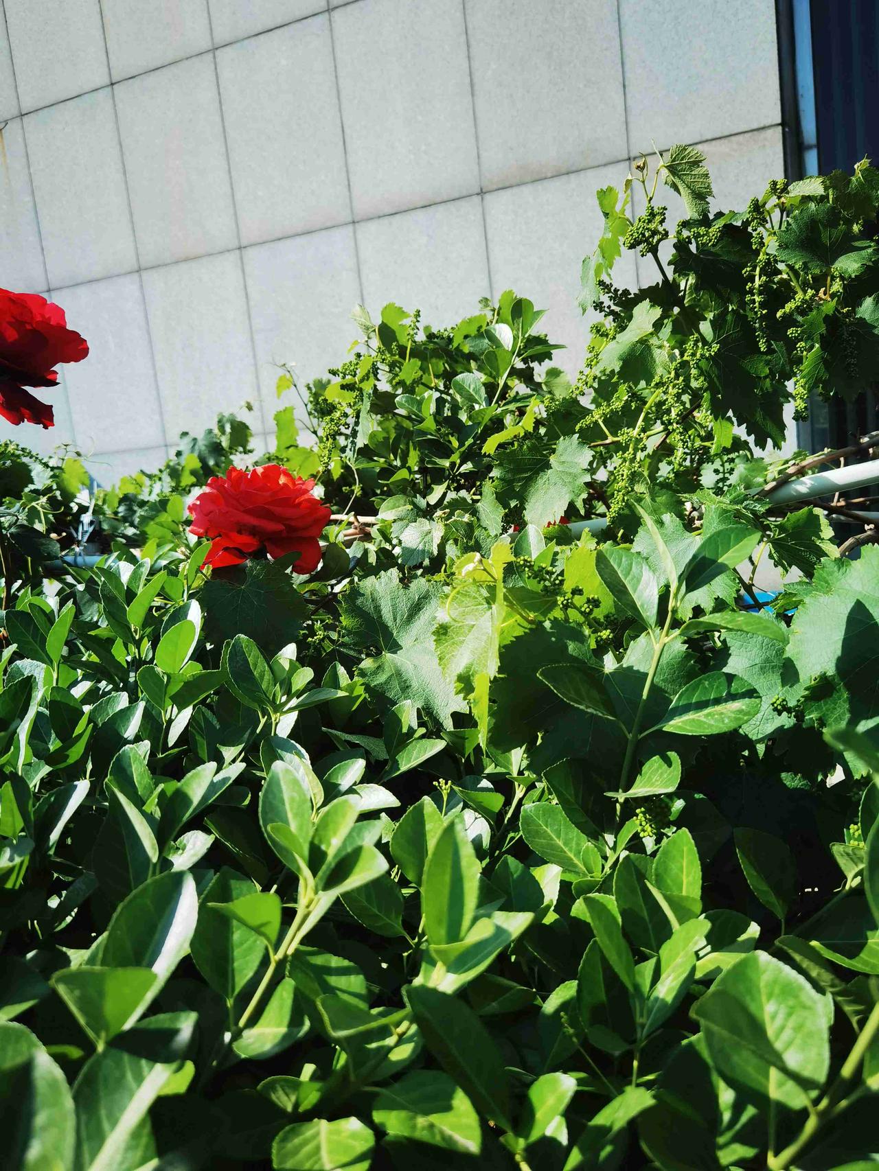 我的今日状态：😁轻松愉快
我这里的天气：☀️晴天