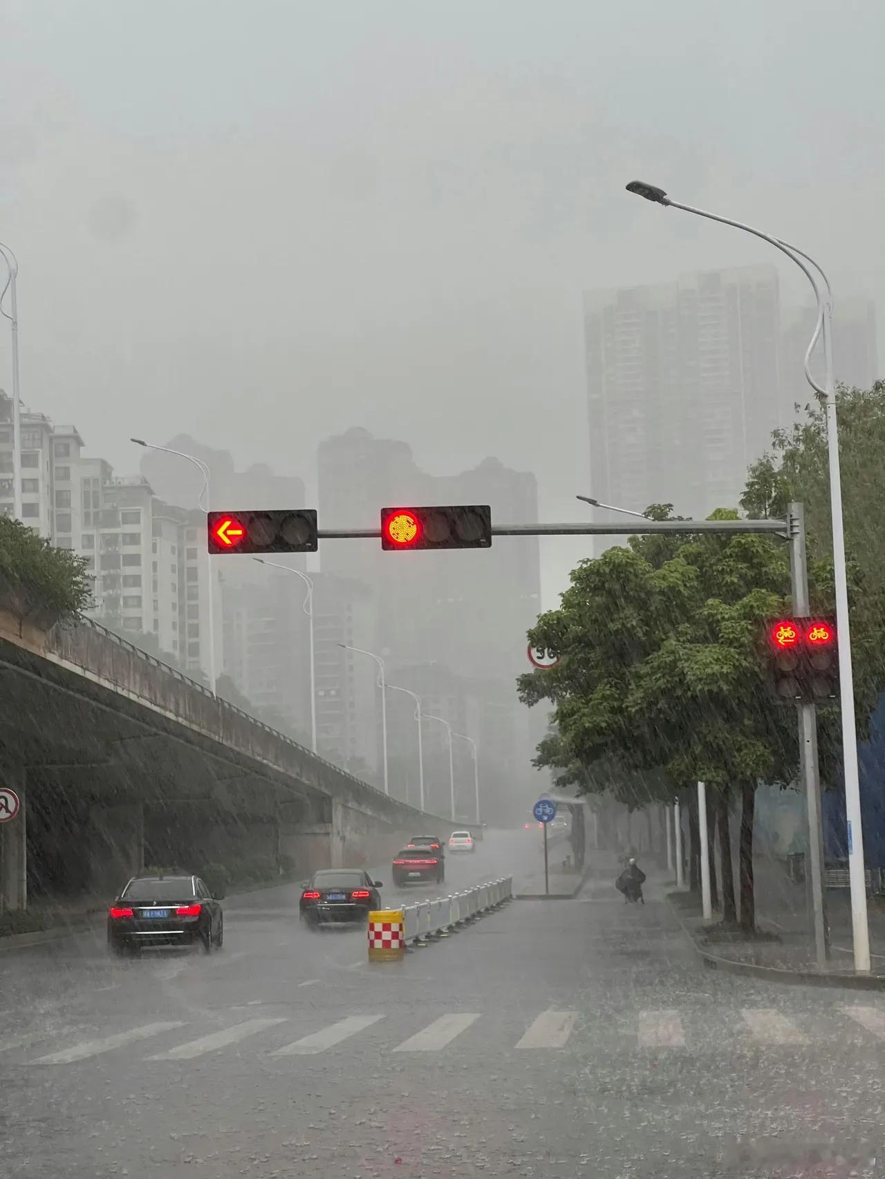广东暴雨多地宣布停课现在的大雨,别说停课了，就连依萍看了都得改天在要钱！[嘻嘻]