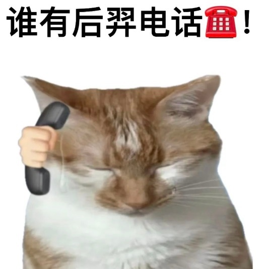 我的休息日应该是被后羿射下来了。 