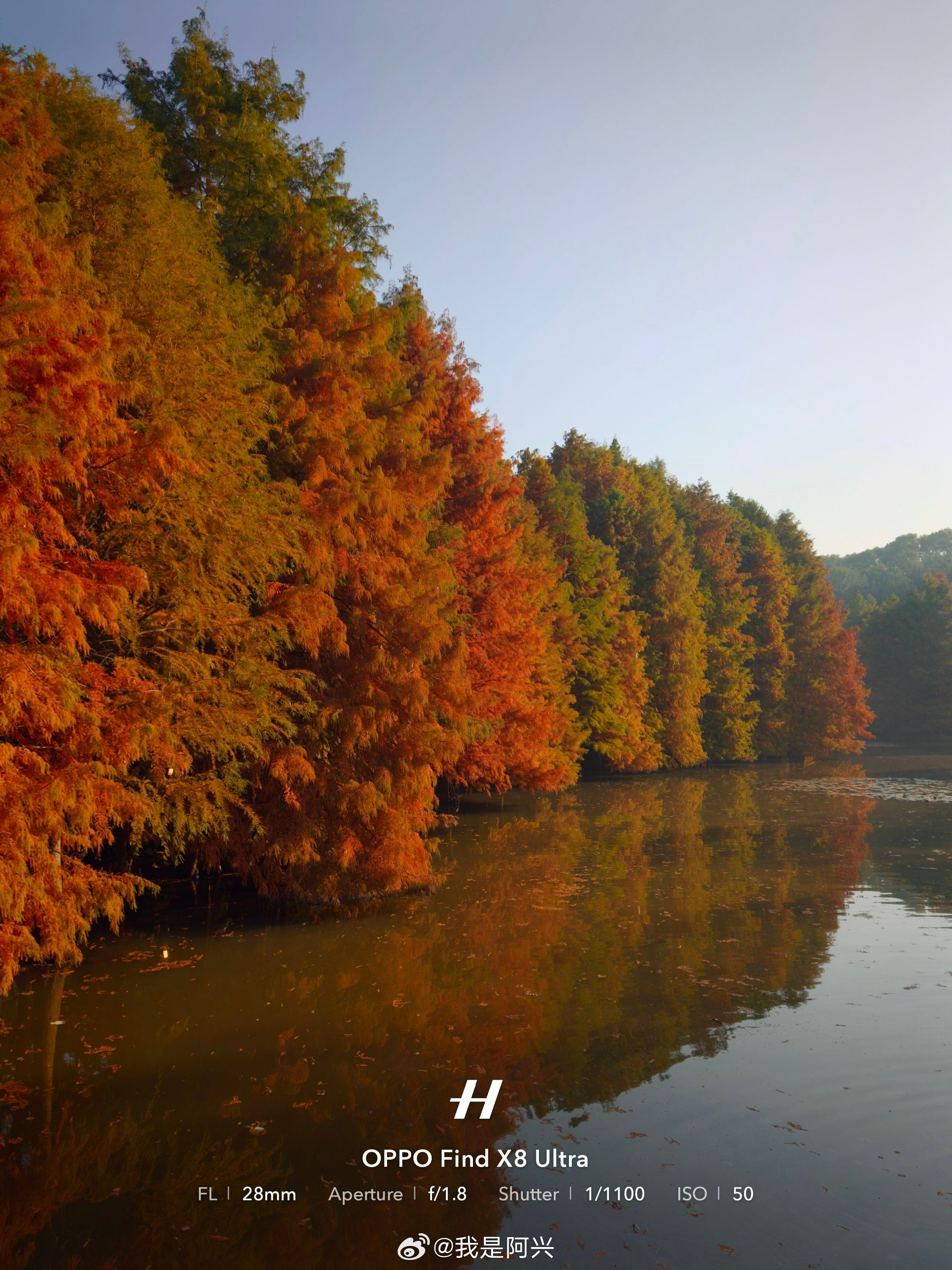 早☀️四月你好🌿每日早起打卡