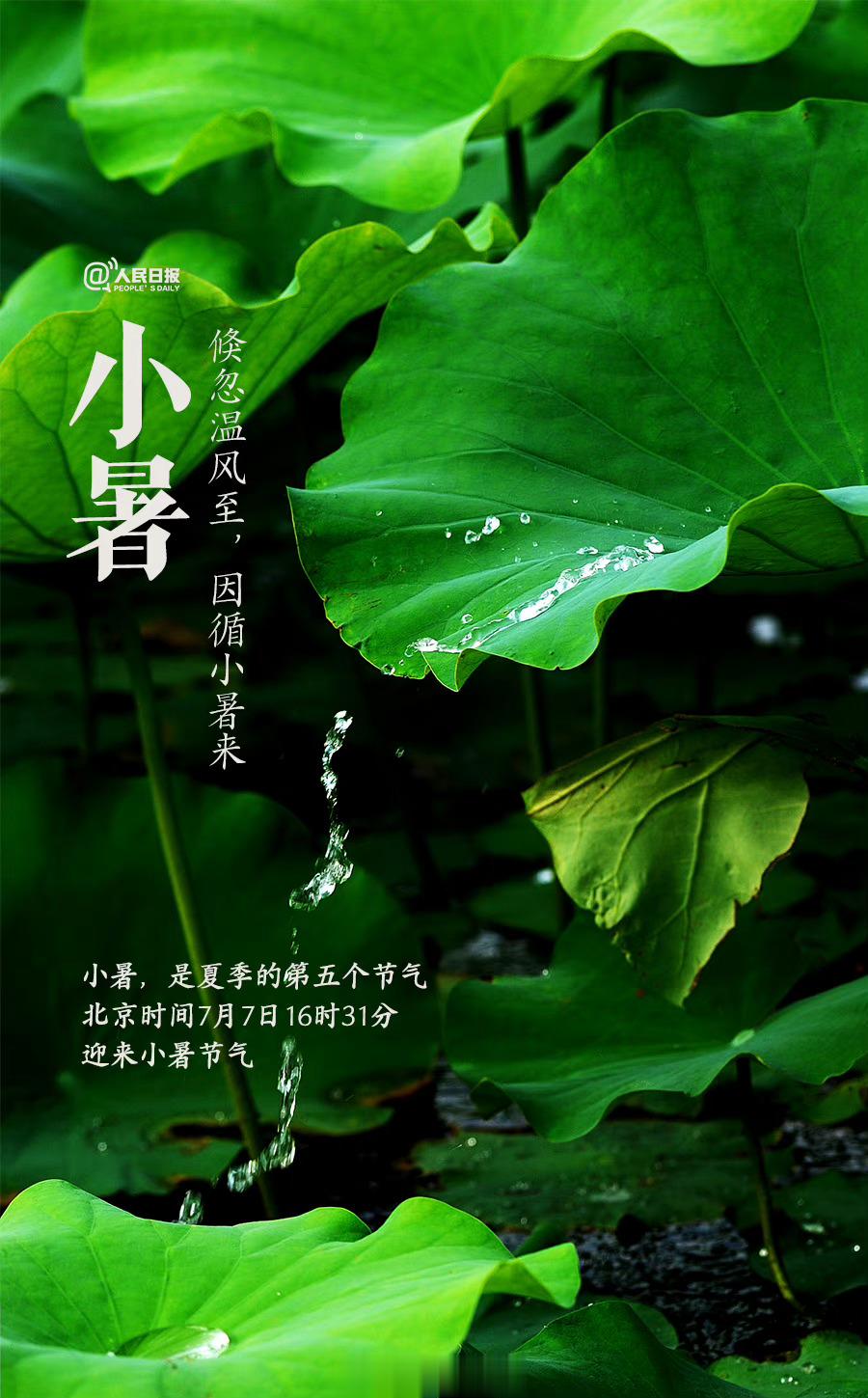 一碗分来百越春，玉溪小暑却宜人；红尘它日同回首，能赋堂中偶坐身。        