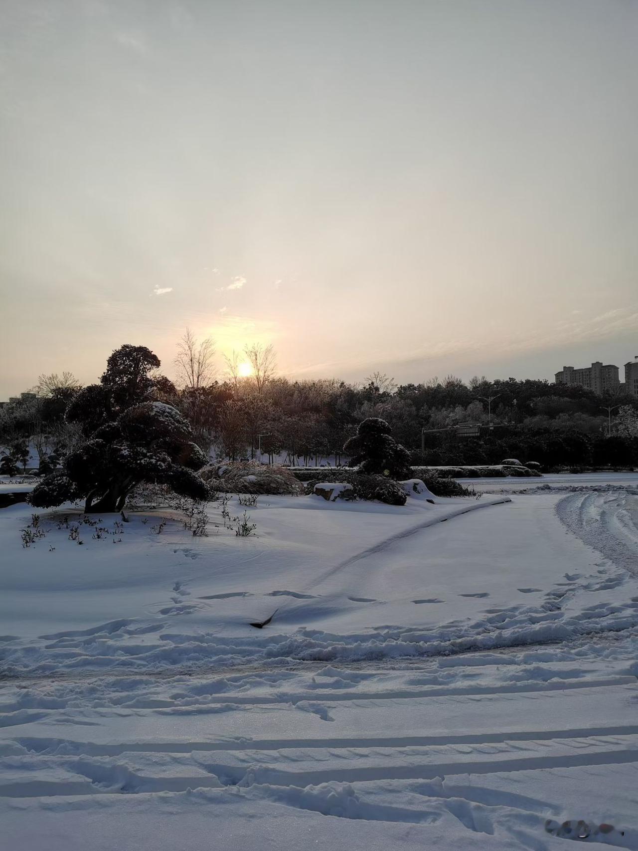 2026年的第一场雪，比以往来的更早一些！
希望大家家里有暖和的炭火！
路上有保
