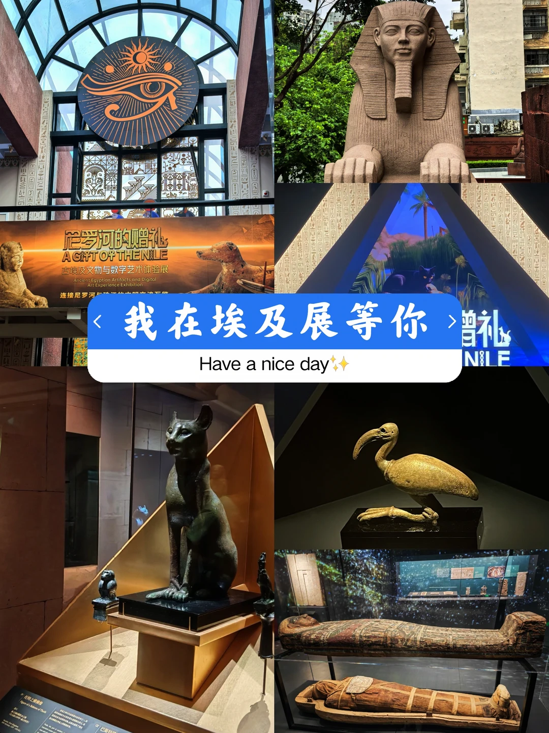 📍广州「尼罗河的赠礼」古埃及