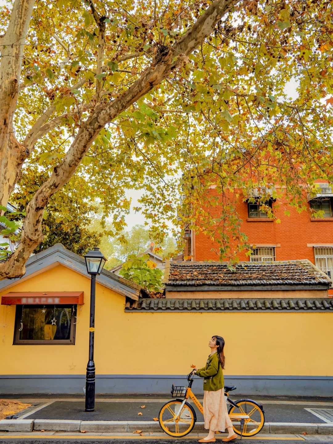 南京秋天！比起梧桐大道，我更喜欢这条街🍂