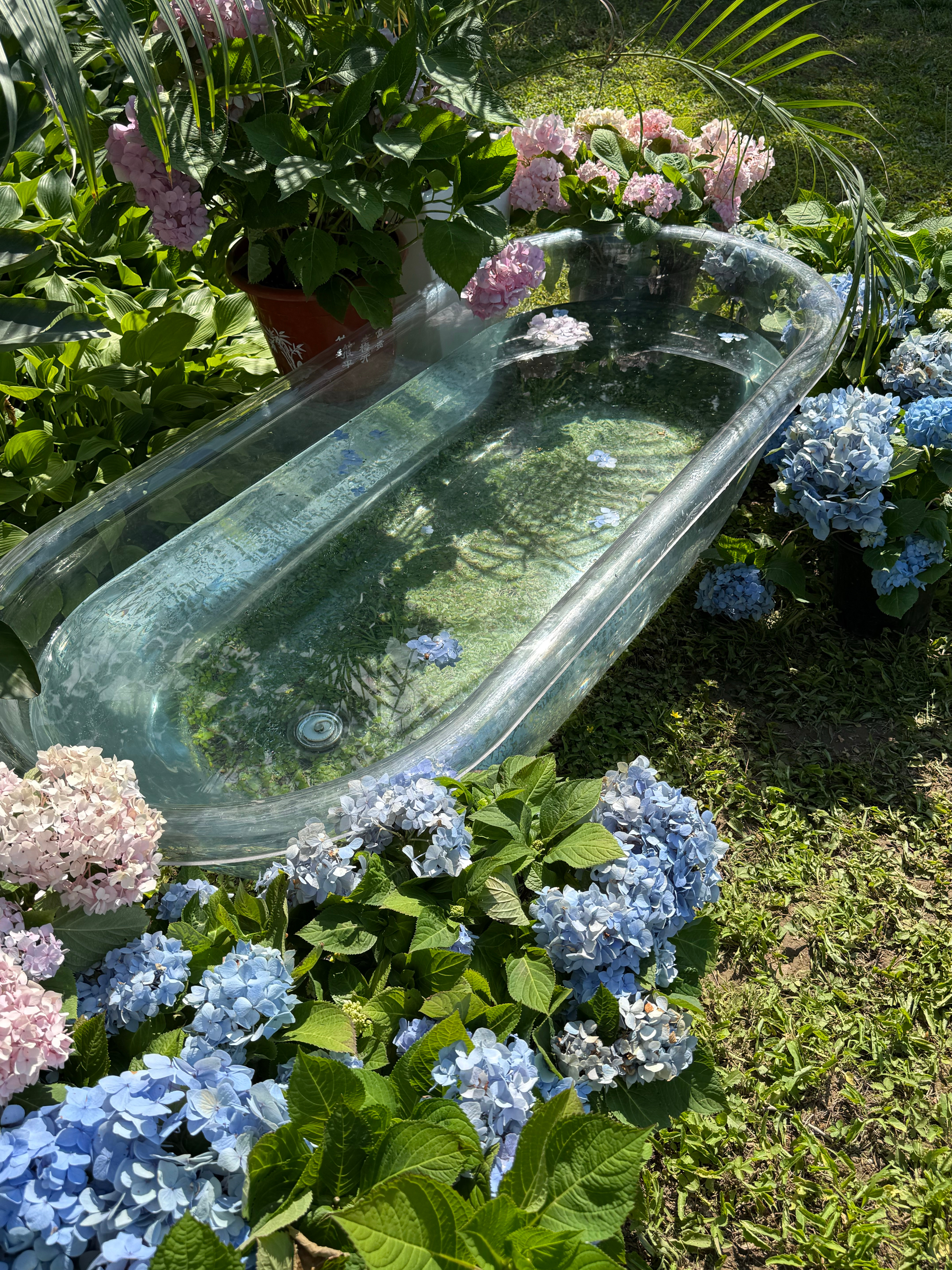 ✨为客妹打造的梦幻花园场景 出片率直接封神💐天航工作室韩系少女心夏日限定外景l