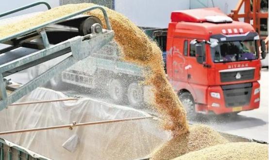 要是全世界各国齐刷刷关上粮食出口大门、跨国粮油贸易直接彻底断档，咱们 14 亿中